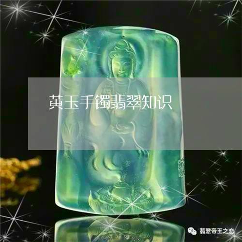 学翡翠的基本知识,学翡翠的基本知识视频-第2张图片-翡翠网